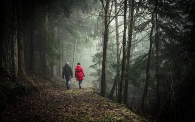 Waarom wandelcoaching stressverlagend werkt!